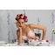 Rosa Faia Soutien-Gorge armatures Fleur Rose Poudr 5653